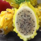 100 seeds Dragon Fruit Pitaya Red (White, Yellow) Organic