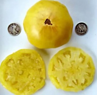 1000 seeds Dixie Golden Giant Tomato Seeds Yellow Big Tomato Fruits