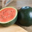 10 seeds Organic Heirloom Small Sugar Baby Watermelon Citrullus Lanatus