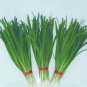 50 seeds Heirloom Chinese Green Leek Vegetables