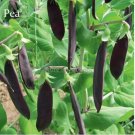 5 seeds Rare Heirloom Black Big Pea