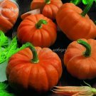10 seeds Heirloom Orange Jack Be Little Pumpkin