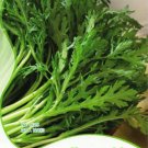 120 seeds Chrysanthemum Coronarium Vegetable