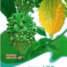 6 seeds Bitter Melon Balsam Pear Fruit
