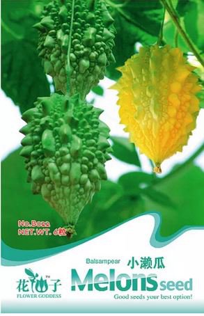 6 seeds Bitter Melon Balsam Pear Fruit