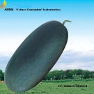 20 seeds Dark Gray Skin Red Watermelon