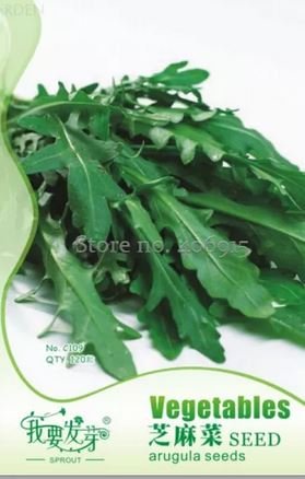 120 seeds Arugula Plant Vegetable