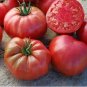 10 seeds Russia Pink Giant Tomato