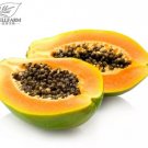 6 seeds Hainan Yellow Skin Yellow Inside Papaya Fruits 'Seeds'