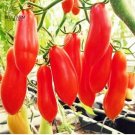 100 seeds Red Banana Tomatoes Seeds