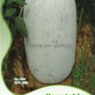 12 seeds Heirloom White Wax Gourd Vegetables