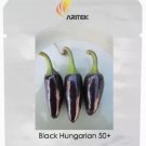 50 seeds Rare Black Hungarian Hot Chili Pepper Organic