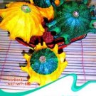 8 seeds 'Imperial Crown' Pumpkin Ornamental Squash