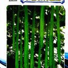 15 seeds Long Loofah Organic