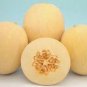 10 seeds Sanmalon Sweet Melon White Hybrid Fruit