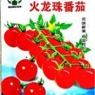 300 seeds Fire Red' Round Cherry Tomato Organic