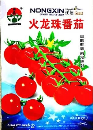 300 seeds Fire Red' Round Cherry Tomato Organic