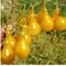 100 seeds Organic Yellow Pear Cherry Tomato Fruit