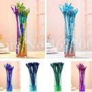 10 seeds Rainbow Lucky Bamboo Bonsai Small Potted Plants Purify Dracaena Plantas