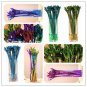 10 seeds Rainbow Lucky Bamboo Bonsai Small Potted Plants Purify Dracaena Plantas