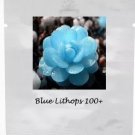 100 seeds Bright Blue Lithops Livingstones Seeds Bonsai Indoor