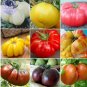 100 seeds Tomato Mixed Giant Vegetable Seeds