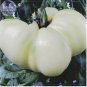 100 seeds Tomato Mixed Giant Vegetable Seeds