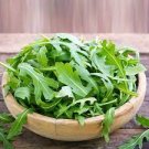120 seeds Eruca Salad Rocket Arugula Organic Vegetable
