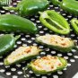 30 seeds Organically Grown Mucho Nacho Jalapeno Hot Pepper