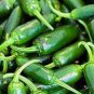 30 seeds Organically Grown Mucho Nacho Jalapeno Hot Pepper