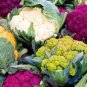 300 seeds Mix Four Varieties Cauliflower Seeds Professional Pack