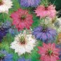 20 seeds Nigella Damascena Mixed Love-in-a-mist Fennelflower