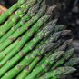20 seeds Organic Green Asparagus Vegetables