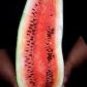70 seeds Heirloom 'Lifeng' Black Skin Red Watermelon