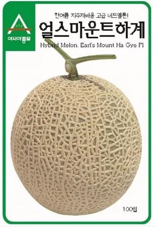 10 seeds Korea Sweet Melon Seeds Very Delicious Hami Melon Muskmelon