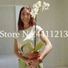 100 seeds Orchid Seeds White Double Flowers with Deep Red