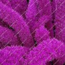 120 seeds Purple Bamboo Foxtail Seeds