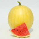 1000 seeds Heirloom 'Huang Pi Qiu' Yellow Skin Red Seedless Watermelon