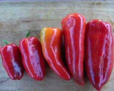 50 seeds Heirloom Lipstick Long Red Sweet Pepper Organic