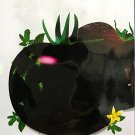 200 seeds Rare Heirloom Big Black Tomato 'Xu Fu Ji' Organic