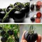 200 seeds Rare Heirloom Big Black Tomato 'Xu Fu Ji' Organic