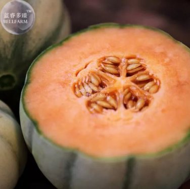 20 seeds Small Heirloom True French Charentais Gourmet Melon Cucumis Melo