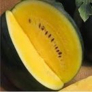 80 seeds Big Super Black Skin Yellow Oval Sweet Organic Watermelon