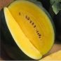 80 seeds Big Super Black Skin Yellow Oval Sweet Organic Watermelon