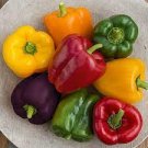 50 seeds Heirloom Mixed Yellow Green Red Orange Sweet Bell Pepper Organic