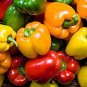 50 seeds Heirloom Mixed Yellow Green Red Orange Sweet Bell Pepper Organic