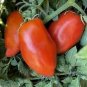 100 seeds 'Opalka' Organic Polish Heirloom Tomato