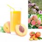 5 seeds Sweet Prunus Persica Dwarf Peach Tree Fruit