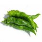 30 seeds 'Chitterlings' Green Red Hot Pepper Vegetable