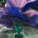 100 seeds Purple Travelers Palm Flores Seeds